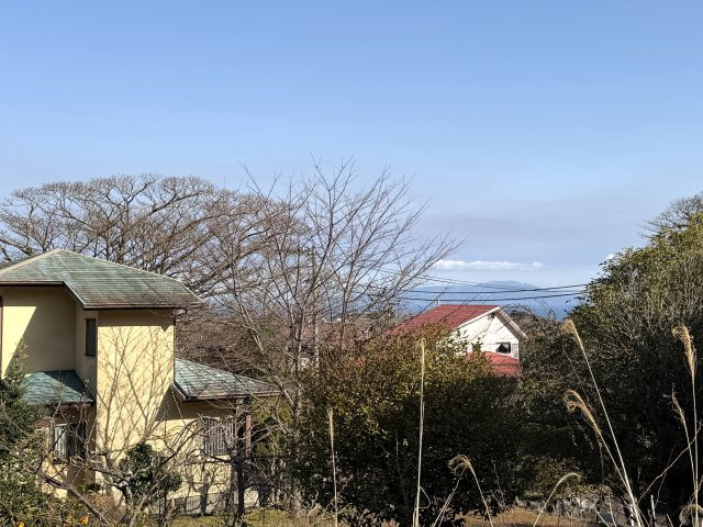 自然豊かな大室高原別荘地内の土地の展望