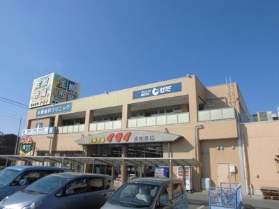 【展望】 | 本郷の杜 ラウン