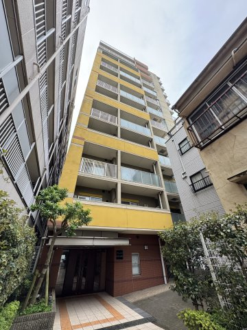 ライジングプレイス浅草弐番館　13F