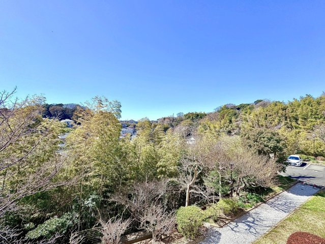 鎌倉グリーンマンションの展望|四季折々の花や木々を享受する暮らしは、日本の豊かな自然の移ろいを感じ、心に豊かさと癒しをもたらします。季節に合わせた植栽や自然の恵みを取り入れることで、日々の生活に彩りが生まれます。