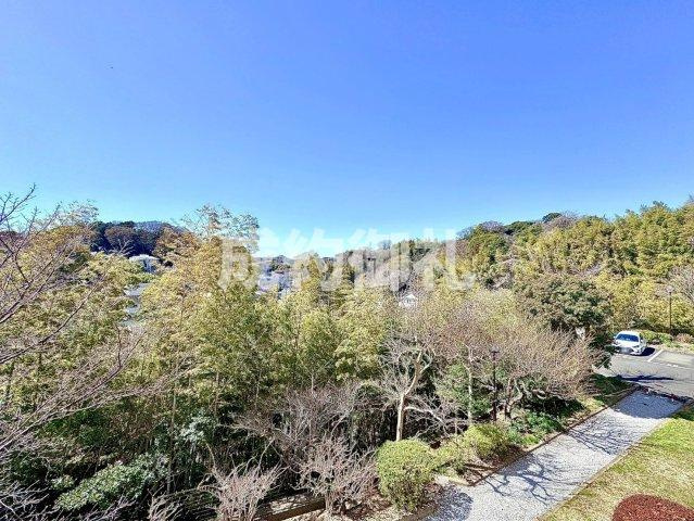 鎌倉グリーンマンションの展望|四季折々の花や木々を享受する暮らしは、日本の豊かな自然の移ろいを感じ、心に豊かさと癒しをもたらします。季節に合わせた植栽や自然の恵みを取り入れることで、日々の生活に彩りが生まれます。