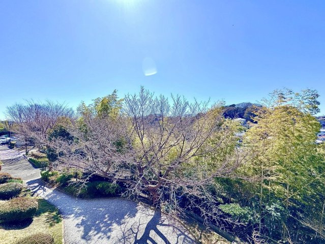 鎌倉グリーンマンションの展望|四季折々の花や木々を享受する暮らしは、日本の豊かな自然の移ろいを感じ、心に豊かさと癒しをもたらします。季節に合わせた植栽や自然の恵みを取り入れることで、日々の生活に彩りが生まれます。