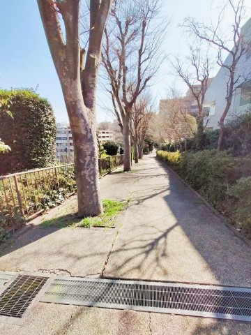 東急ドエルアルス菊名