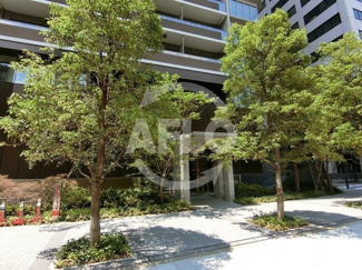 【庭】 | プレミストタワー大阪新町ローレルコート | プレミストタワー大阪新町ローレルコート　エントランス