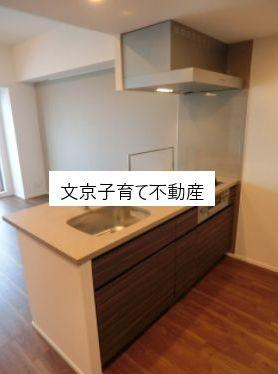 ザ・パークハビオ早稲田のキッチン