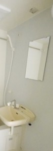 メルディア東堀切の洗面所