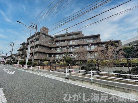 ドラゴンマンション湘南辻堂壱番館の外観|現地外観