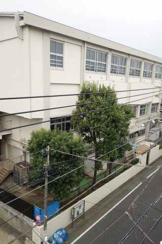ジェノヴィア大山の展望