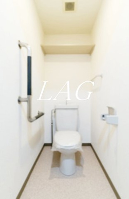 【トイレ】 | シティハイム京島 | トイレです。