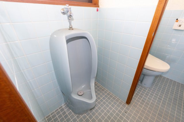 中古戸建　倉庫付　たつの市龍野町島田のトイレ|小便器が有り男性には快適