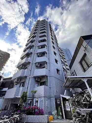 ライオンズプラザ白山の外観
