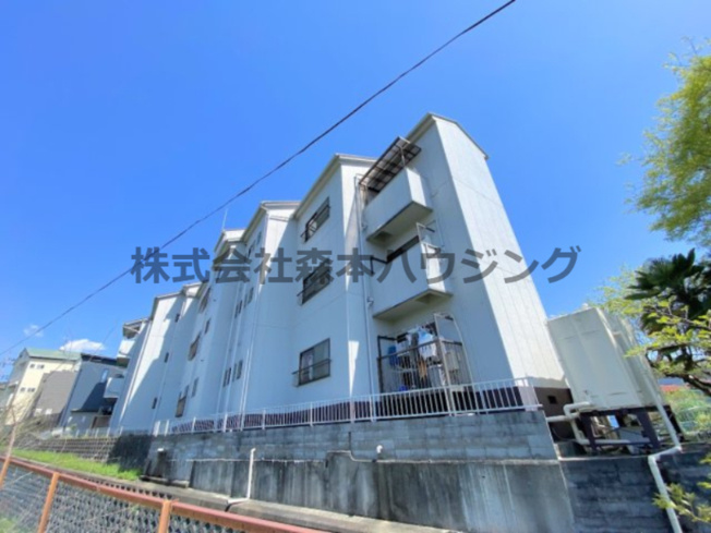 【外観】 | 　私市ロイヤルマンション | 外観も気になるポイント