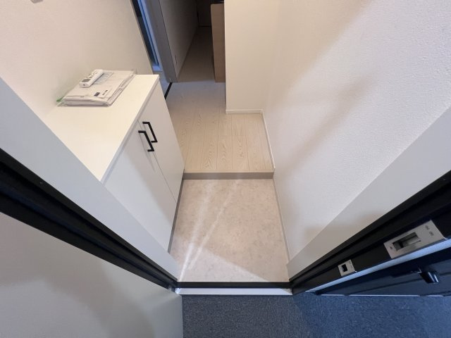 ナチュラルフロントの玄関