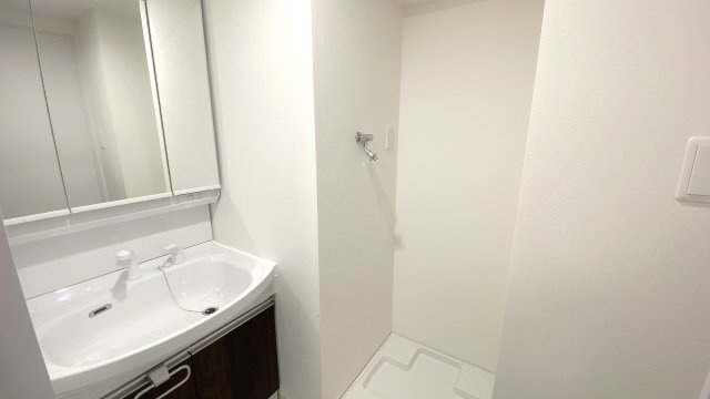 lives residence 太閤通※※キャンペーン中の洗面所