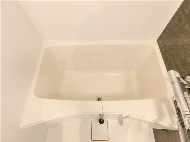 パティーナ蒲田Duoの浴室