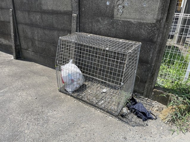 カーサエスペランサのその他共用部分