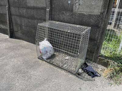 【その他共用部分】 | カーサエスペランサ