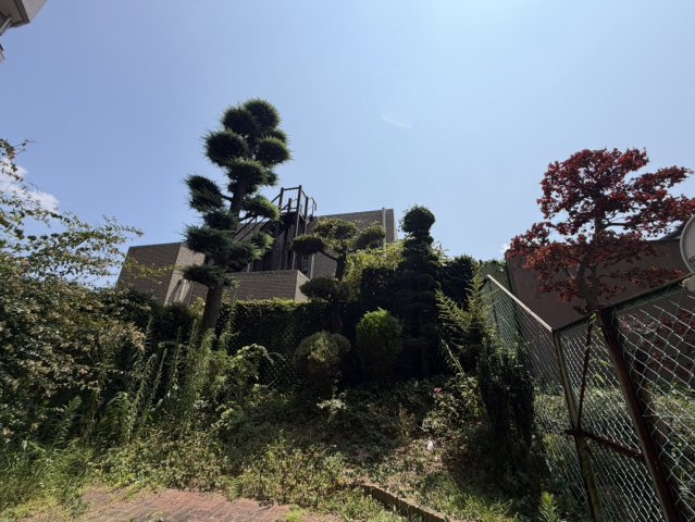松月アイリスの展望