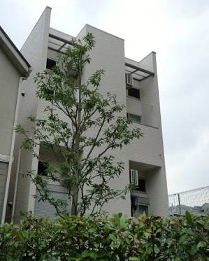 アイビス白壁の外観