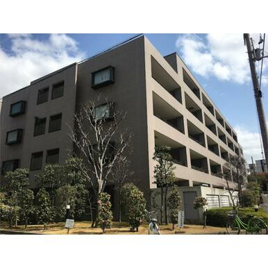ジークレフ芦屋