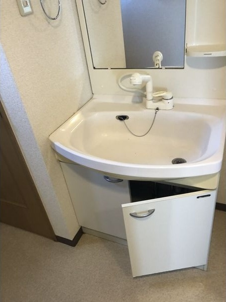 THE RESIDENCE IMAIKE NORTHの洗面所