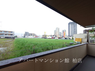 【展望】