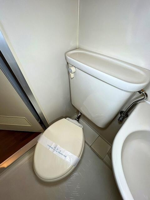 参考写真