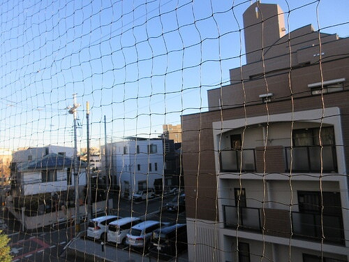 ライオンズマンション朝霞本町のその他|バルコニーからの眺望