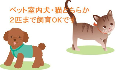  | エストレーヤ