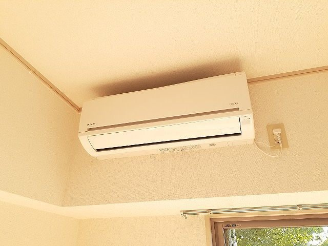 Ｓｏｌｅｉｌ　Ｈｏｎｊｉｎのその他