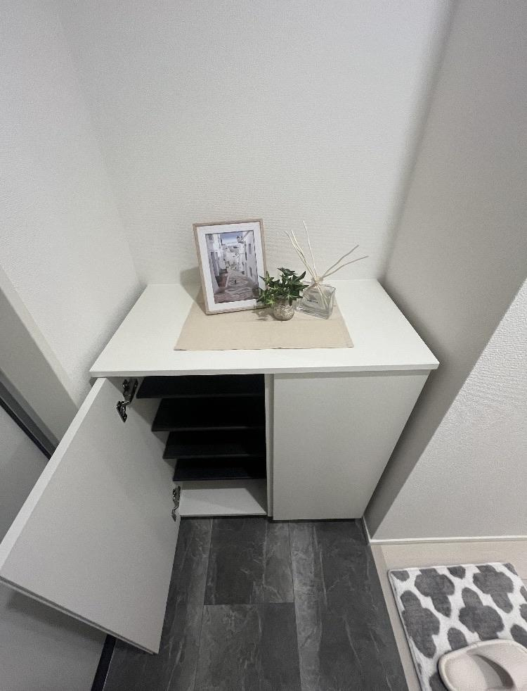 REGIES近大southⅡの収納