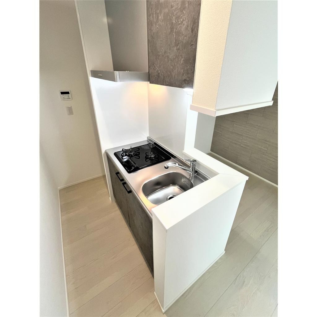 REGIES近大southⅡのキッチン