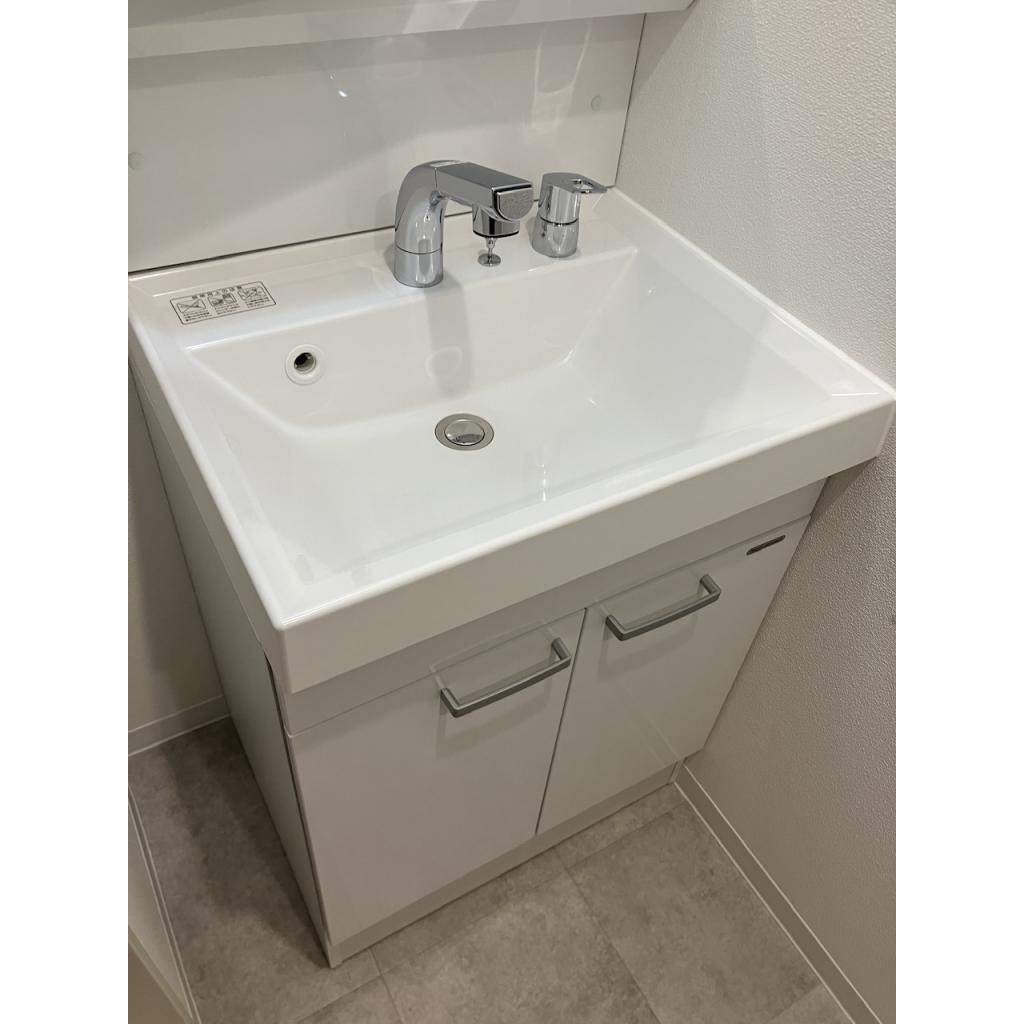 REGIES近大southⅡの洗面所