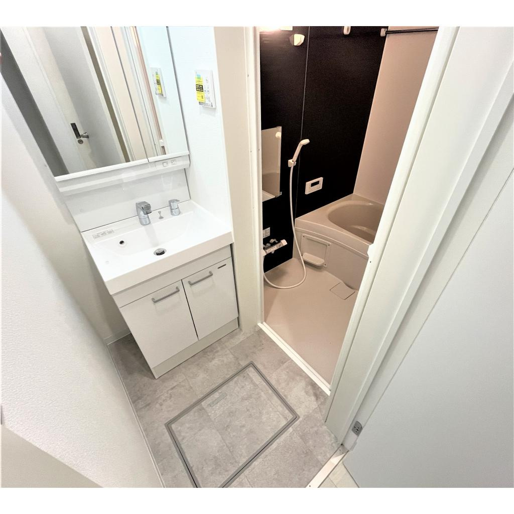 REGIES近大southⅡの洗面所