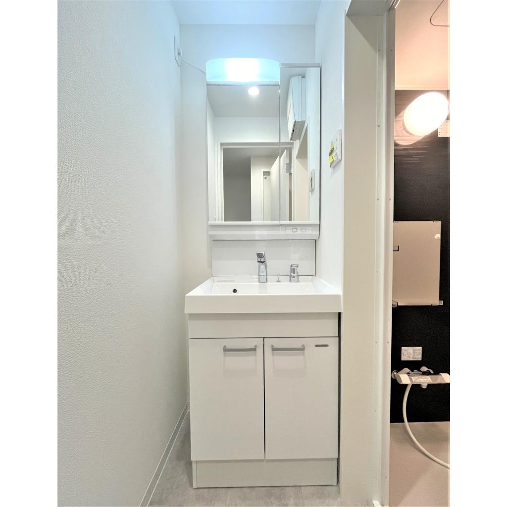 REGIES近大southⅡの洗面所