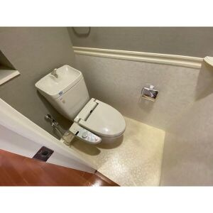 サンマンションアトレ高蔵寺駅前のトイレ
