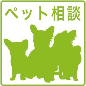 ApisⅤ(アピス5) B棟のその他