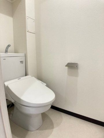 大阪市西区本田２丁目の賃貸マンションのトイレ|トイレも気になるポイント