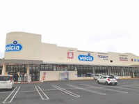 ウエルシア茂原六ツ野店まで1300m