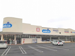 ウエルシア茂原六ツ野店まで1300m