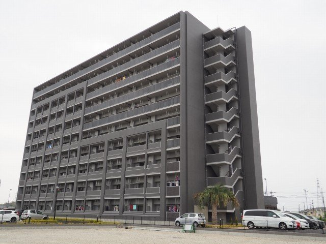 ティエラ　フェリス