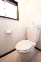 コンパクトで使いやすいトイレです