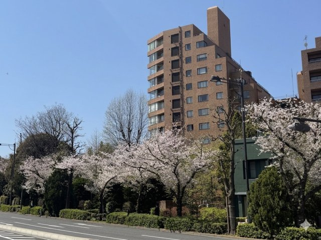 一番町パークマンションの画像