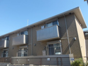 はまだ18の画像