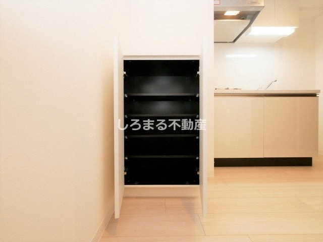 エグゼ難波南Ⅵの収納
