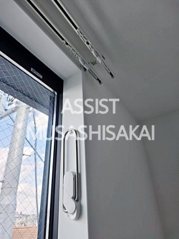 Ｃｅｌｅｓｔｅ　ＫＯＧＡＮＥのその他