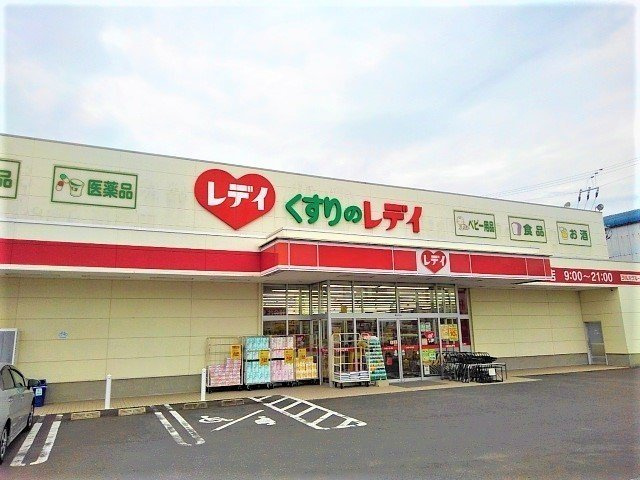 レユスィートＹ　Ⅴの周辺|くすりのレディ高瀬店まで900m