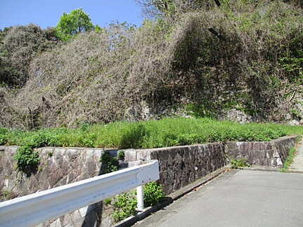 峰高2丁目の周辺