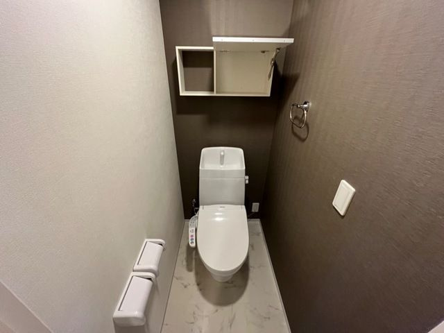 メゾン　リ・イルⅡのトイレ
