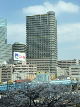 Brillia Tower大崎の画像